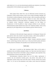 Ergonomika grožio specialistams 6 puslapis