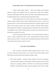 Įmonės „Odesa“ rinkodaros analizė 11 puslapis