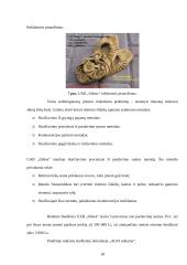 Įmonės „Odesa“ rinkodaros analizė 18 puslapis