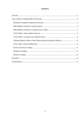 Įmonės „Odesa“ rinkodaros analizė 3 puslapis