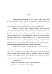 Įmonės „Odesa“ rinkodaros analizė 4 puslapis