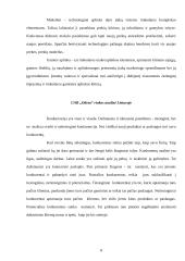 Įmonės „Odesa“ rinkodaros analizė 8 puslapis