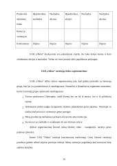 Įmonės „Odesa“ rinkodaros analizė 10 puslapis