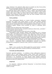 Fotografijos brandos egzamino kūrybinis darbas 7 puslapis