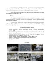 Fotografijos brandos egzamino kūrybinis darbas 9 puslapis