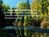 Bernardas Brazdžionis skaidrės 2 puslapis