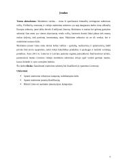 Maitinimo sektorius, jo ypatumai Lietuvoje 3 puslapis