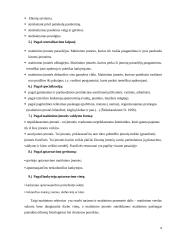 Maitinimo sektorius, jo ypatumai Lietuvoje 6 puslapis