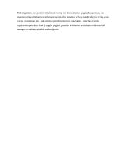 Prigimtinės teisės teorijos ir teisinio pozityvizmo teorijos palyginimas 2 puslapis