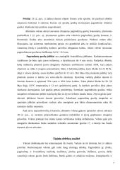 Alkūninio veleno konstrukcinės ir technologinės charakteristikos 7 puslapis