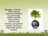 Darbas apie ekologinį ūkininkavimą 2 puslapis