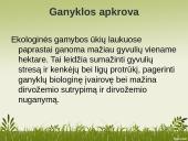 Darbas apie ekologinį ūkininkavimą 11 puslapis