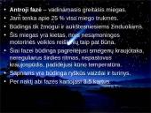 Miegas ir jo sutrikimai skaidrės 11 puslapis