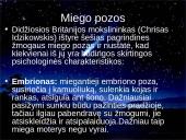 Miegas ir jo sutrikimai skaidrės 18 puslapis