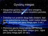 Miegas ir jo sutrikimai skaidrės 4 puslapis