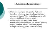 Šeimoje ugdomos vertybės: valia ir drausmė 11 puslapis