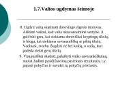 Šeimoje ugdomos vertybės: valia ir drausmė 12 puslapis