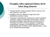 Šeimoje ugdomos vertybės: valia ir drausmė 14 puslapis