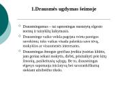 Šeimoje ugdomos vertybės: valia ir drausmė 16 puslapis