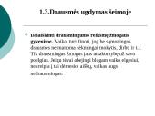 Šeimoje ugdomos vertybės: valia ir drausmė 18 puslapis