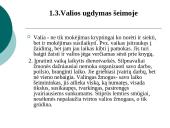 Šeimoje ugdomos vertybės: valia ir drausmė 8 puslapis
