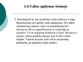 Šeimoje ugdomos vertybės: valia ir drausmė 9 puslapis