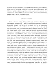 LR civilinė teisė, kaip privatinės teisės šaka 7 puslapis