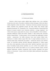 LR civilinė teisė, kaip privatinės teisės šaka 9 puslapis