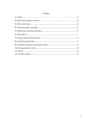 Poilsio laiko rūšys referatas 2 puslapis