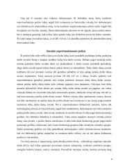 Poilsio laiko rūšys referatas 8 puslapis