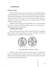 Hidraulinių ir pneumatinių pavarų kursinis projektas 20 puslapis