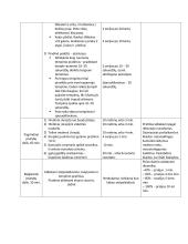 Krepšinio pratybų planas – konspektas 2 puslapis