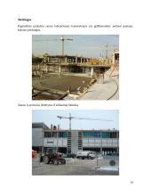 Rekomenduojamų eksploatacinių reikalavimų statiniams nustatymas ir vyldymas statiniuose 10 puslapis