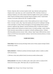 Skonio absoliutaus slenksčio patikrinimas 2 puslapis