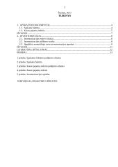 Buhalteriniai apskaitos dokumentai 2 puslapis