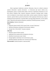 Buhalteriniai apskaitos dokumentai 3 puslapis