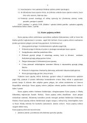 Buhalteriniai apskaitos dokumentai 5 puslapis