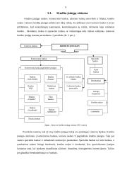 Lietuvos kredito įstaigos ir jų veikla 9 puslapis