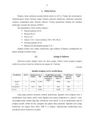 IĮ ,,Atgaiva sielai‘‘ verslo planas 11 puslapis