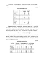 IĮ ,,Atgaiva sielai‘‘ verslo planas 12 puslapis