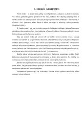 IĮ ,,Atgaiva sielai‘‘ verslo planas 15 puslapis