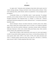 IĮ ,,Atgaiva sielai‘‘ verslo planas 19 puslapis