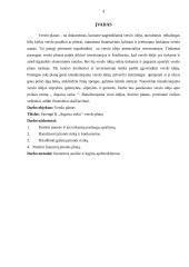 IĮ ,,Atgaiva sielai‘‘ verslo planas 4 puslapis