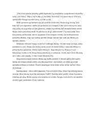 M. Scotto Pecko knygos ,,Nepramintuoju taku“ refleksija 3 puslapis