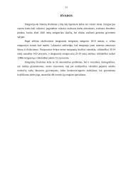 Emigracijos 2010-2012 m. analizė 11 puslapis