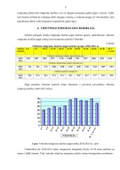 Emigracijos 2010-2012 m. analizė 9 puslapis