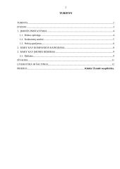 Mary Kay rinkodaros veiklos analizė 2 puslapis