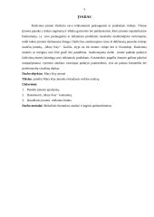 Mary Kay rinkodaros veiklos analizė 3 puslapis