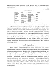 Mary Kay rinkodaros veiklos analizė 6 puslapis