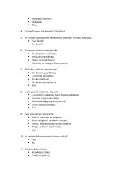 Emigravusio jaunimo išvykimo priežastys ir prevencijos būdai 11 puslapis